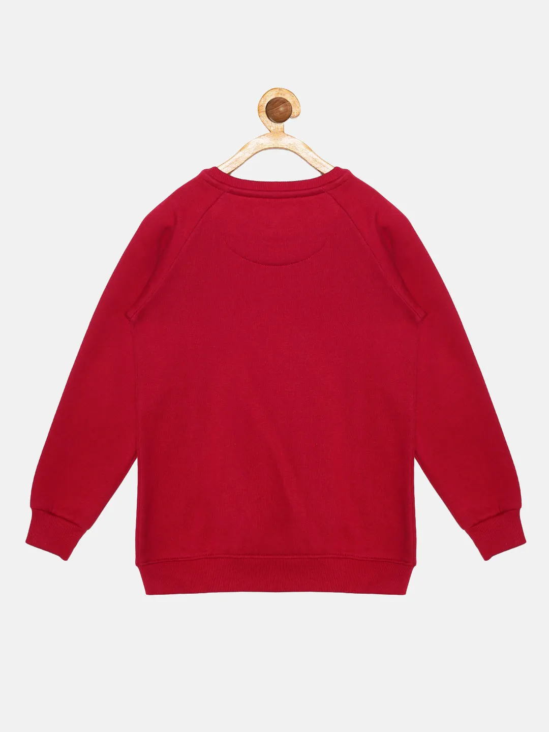 Boys Round Neck Sweatshirt With Applique