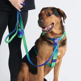 Comfort Control No-Pull Dog Harness Set - Lime Wave