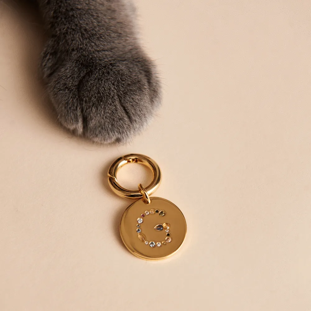 Letter M Pet Charm