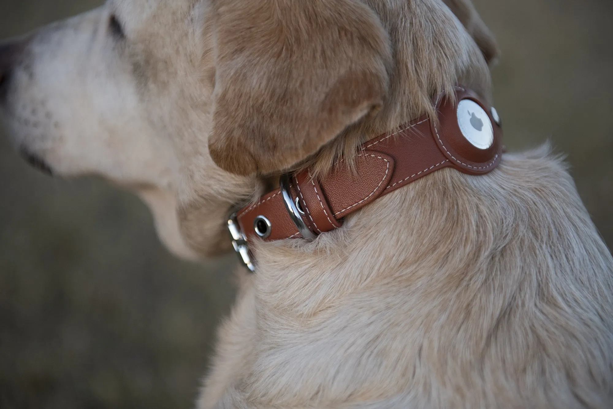 Nine Twenty Eight™ XS/ Small Premium Leather Apple Airtag Dog Collar