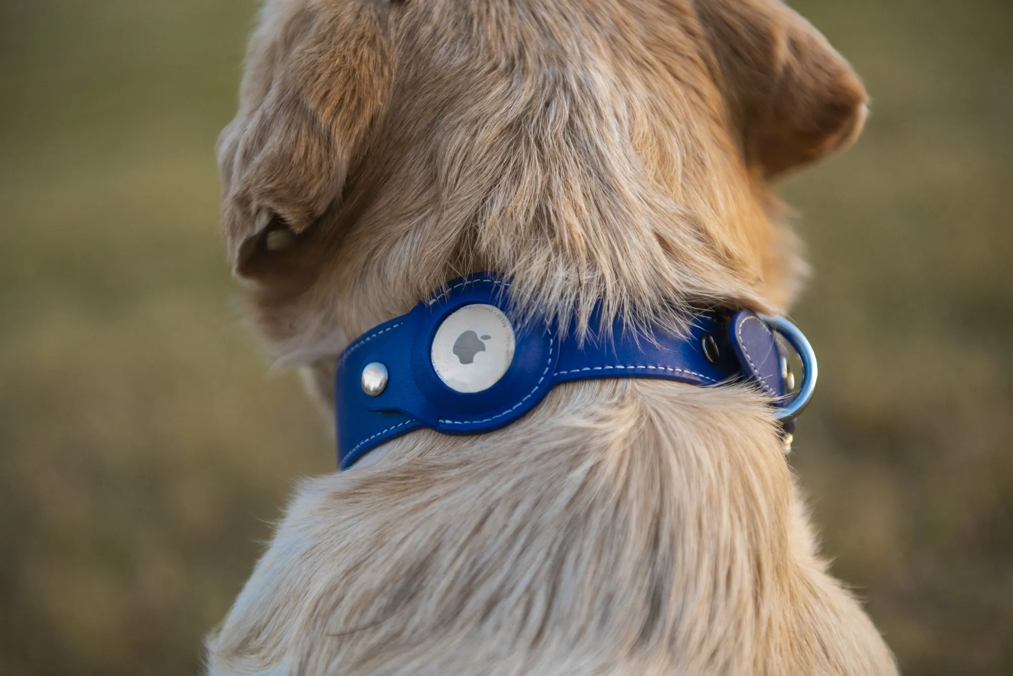 Nine Twenty Eight™ XS/ Small Premium Leather Apple Airtag Dog Collar