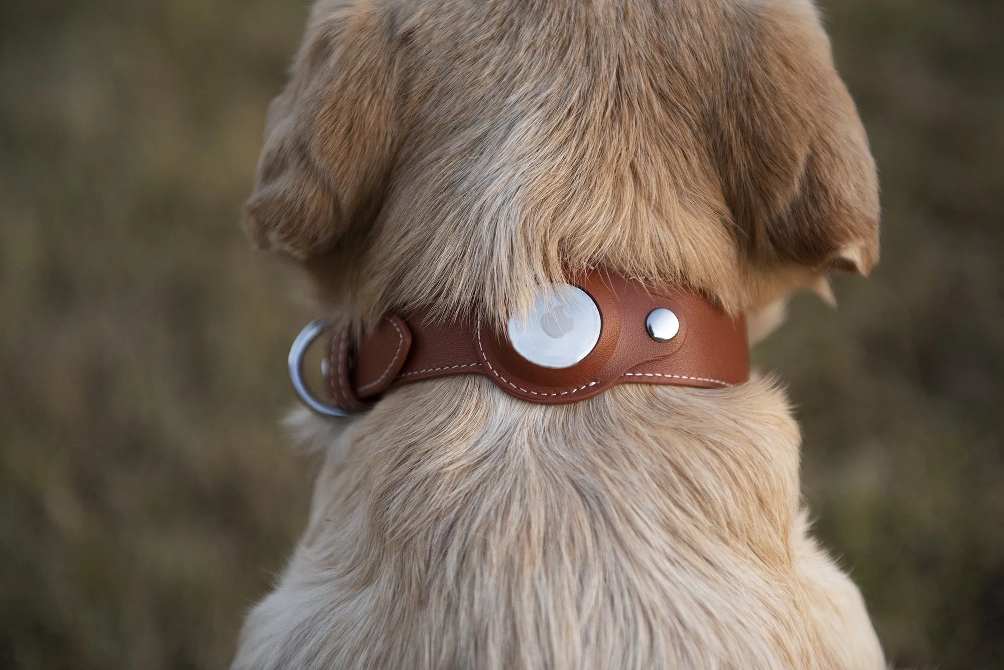 Nine Twenty Eight™ XS/ Small Premium Leather Apple Airtag Dog Collar