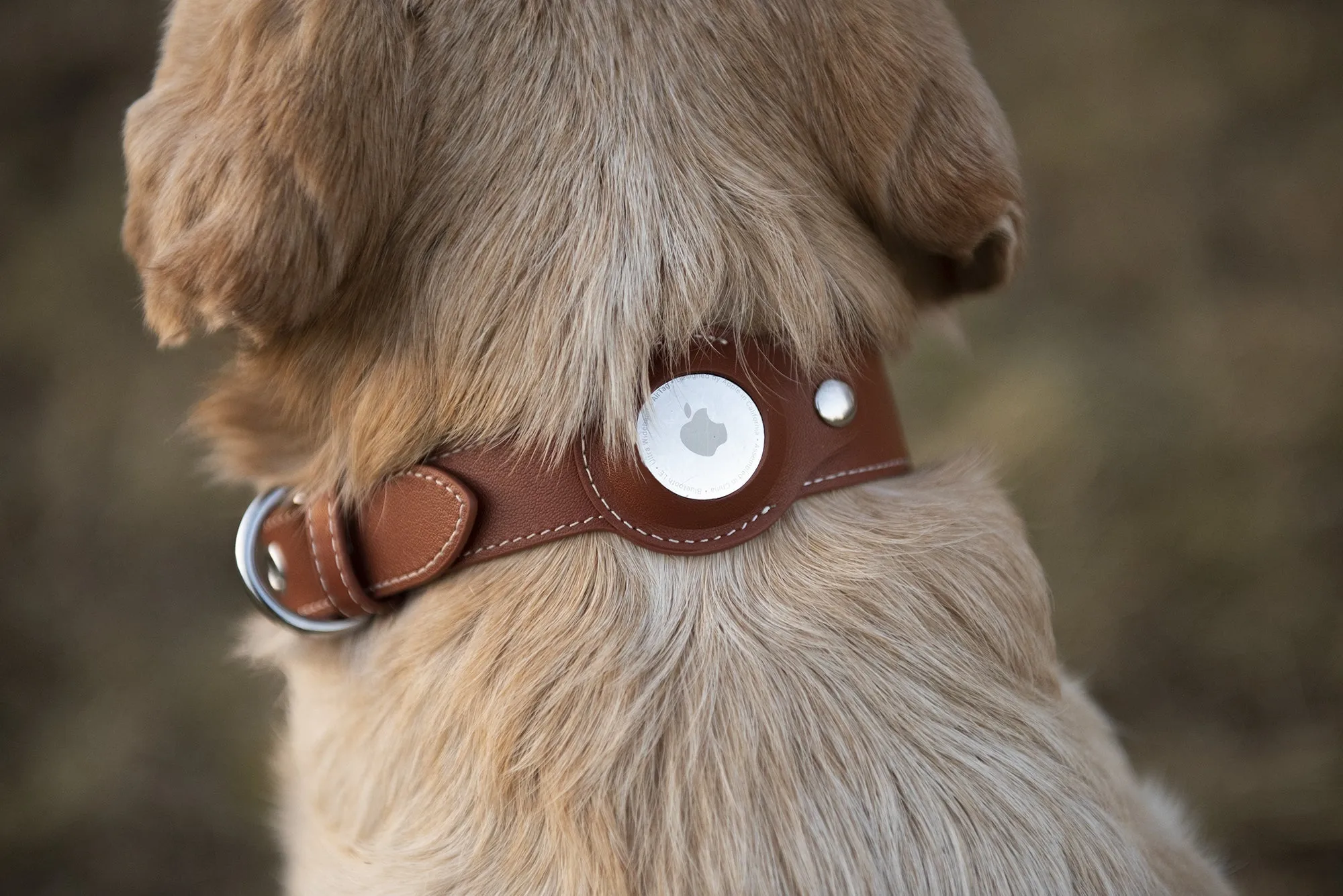 Nine Twenty Eight™ XS/ Small Premium Leather Apple Airtag Dog Collar