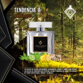 Tendencia  a UAmber Oud